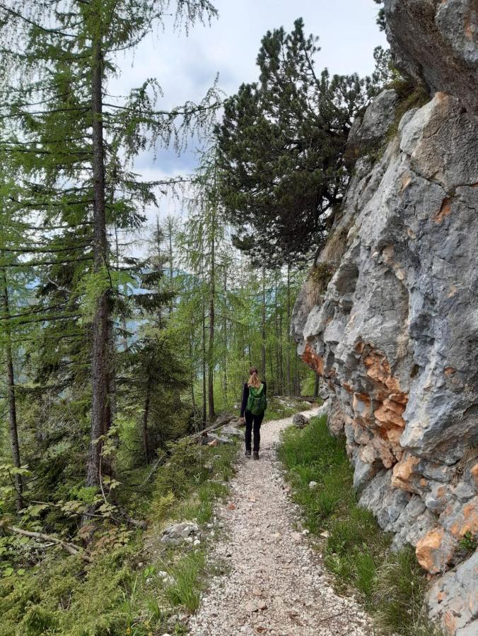 Schönau am Königssee Vintage Kammerl מראה חיצוני תמונה